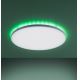 Leuchten Direkt 15602-16 - LED RGBW Prigušiva stropna svjetiljka GUSTAV LED/20,3W/230V + LED/1,8W 2700-5000K + daljinski upravljač