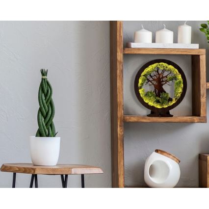 Li-Go 23604/DUB2 - LED stolna dekoracija s mogućnošću prigušivanja LED/12W/230V 20x22 cm hrast/mahovina i stablo