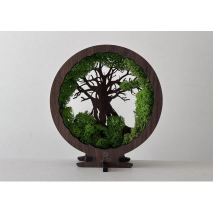 Li-Go 23604/DUB2 - LED stolna dekoracija s mogućnošću prigušivanja LED/12W/230V 20x22 cm hrast/mahovina i stablo