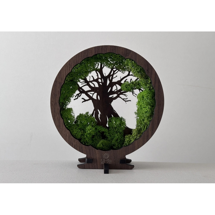 Li-Go 23604/DUB2 - LED stolna dekoracija s mogućnošću prigušivanja LED/12W/230V 20x22 cm hrast/mahovina i stablo