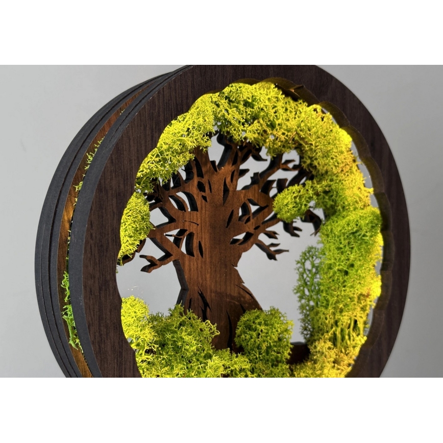 Li-Go 23604/DUB2 - LED stolna dekoracija s mogućnošću prigušivanja LED/12W/230V 20x22 cm hrast/mahovina i stablo