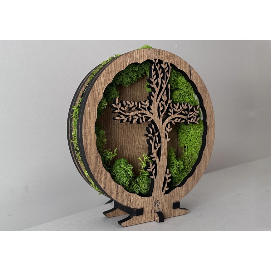 Li-Go 23622/DUB2 - LED stolna dekoracija s mogućnošću prigušivanja LED/12W/230V 20x22 cm hrast/Križ u mahovini