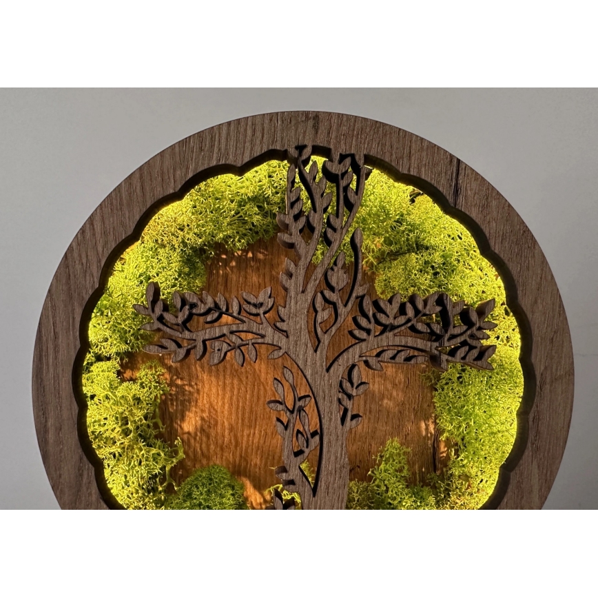 Li-Go 23622/DUB2 - LED stolna dekoracija s mogućnošću prigušenja LED/12W/230V 20x22 cm hrast/Križ u mahovini