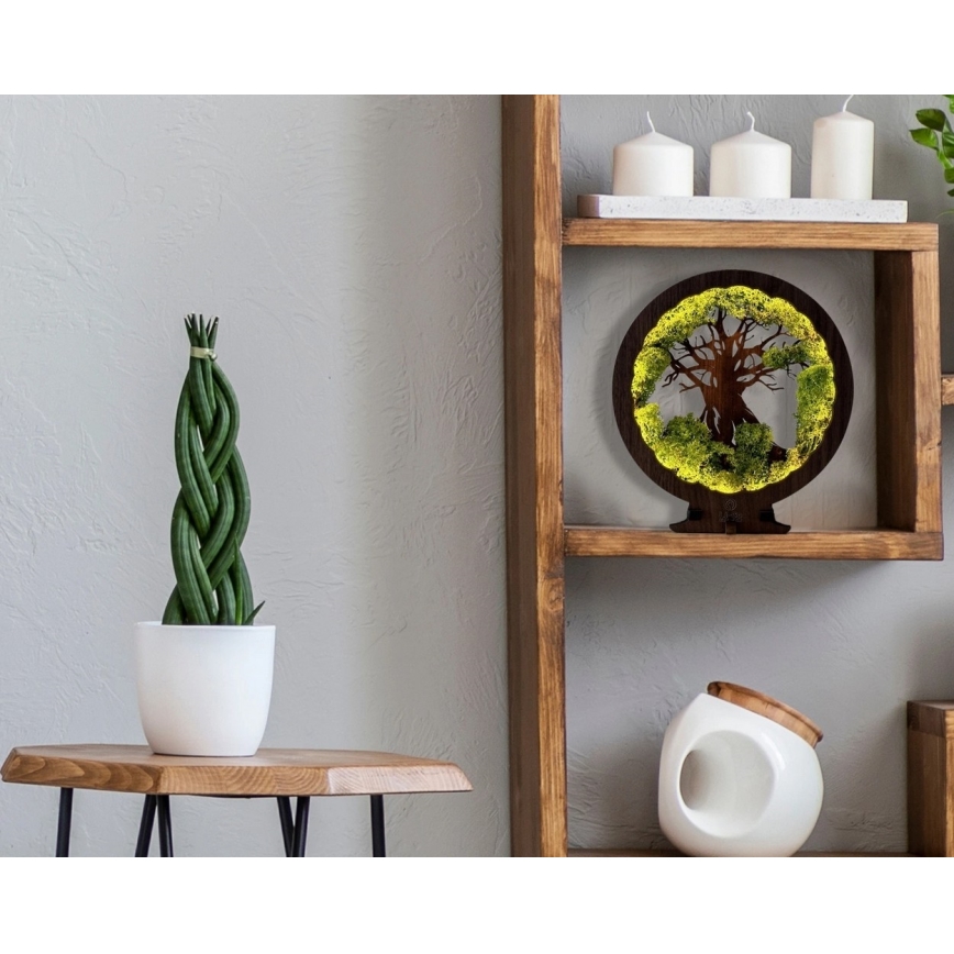 Li-Go 23631/DUB2 - LED stolna dekoracija s mogućnošću prigušivanja LED/12W/230V 30x31 cm hrast/mahovina i stablo