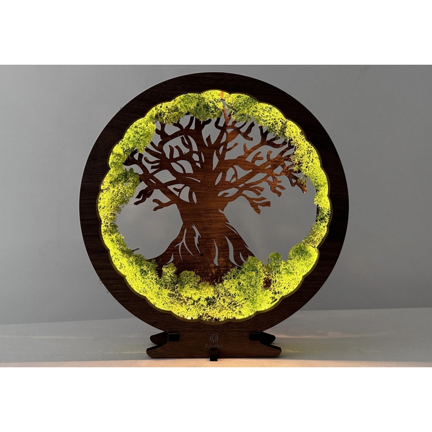 Li-Go 23631/DUB2 - LED stolna dekoracija s prigušavanjem LED/12W/230V 30x31 cm hrast/mahovina i stablo