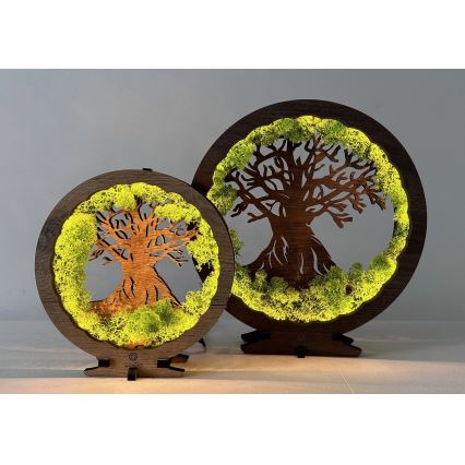 Li-Go 23631/DUB2 - LED stolna dekoracija s prigušavanjem LED/12W/230V 30x31 cm hrast/mahovina i stablo