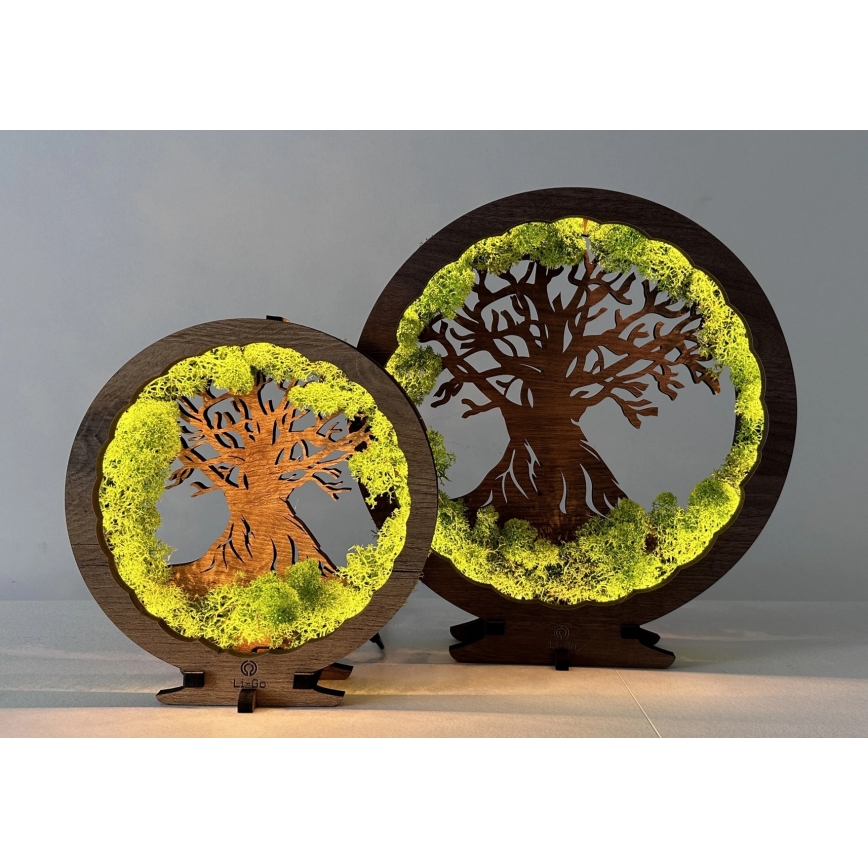 Li-Go 23631/DUB2 - LED stolna dekoracija s prigušavanjem LED/12W/230V 30x31 cm hrast/mahovina i stablo