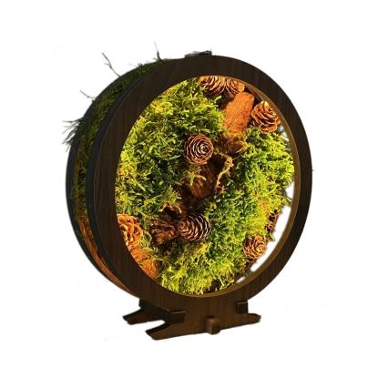 Li-Go 23654 - LED stolna dekoracija s mogućnošću prigušivanja LED/12W/230V 20x22 cm orah/aranžman s mahovinom