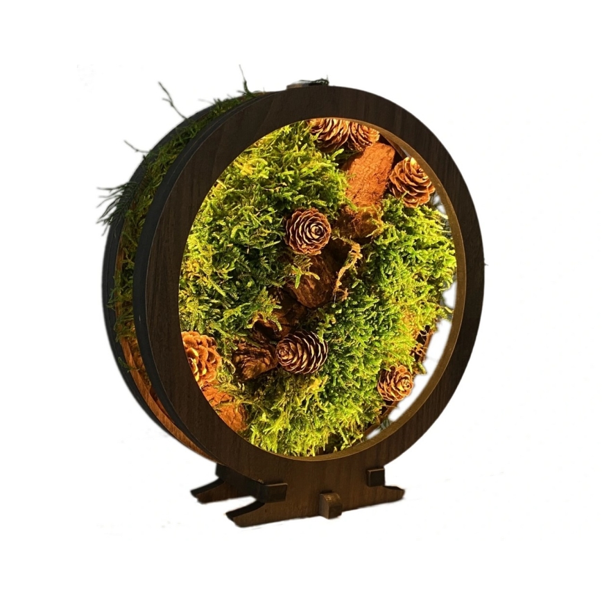 Li-Go 23654 - LED stolna dekoracija s prigušivanjem LED/12W/230V 20x22 cm orah/Mahoviti motiv