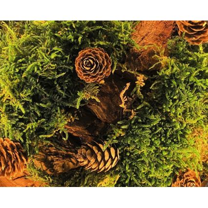 Li-Go 23654 - LED stolna dekoracija s prigušivanjem LED/12W/230V 20x22 cm orah/Mahoviti motiv