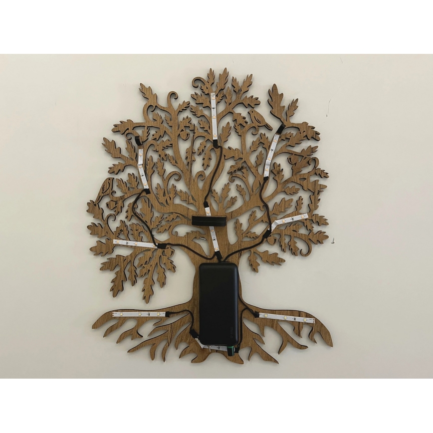 Li-Go 23673/DUB2 - LED dekoracija za zid s mogućnošću prigušivanja LED/10W/5V 20000 mAh 45x55 cm hrast + daljinski upravljač