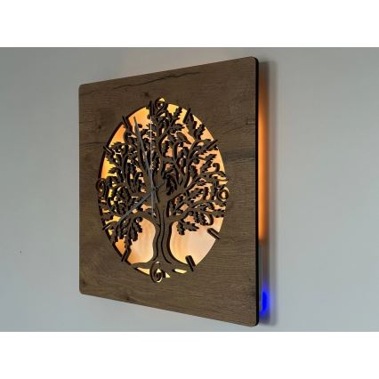 Li-Go 5652/DUB2 - LED sat s prigušivanjem LED/10W/5V 20000 mAh 42x42 cm hrast/hrast u krugu + daljinski upravljač