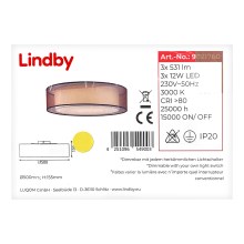 Lindby - LED Prigušiva stropna svjetiljka AMON 3xLED/12W/230V