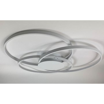 Lindby - LED Prigušiva stropna svjetiljka RILEY LED/40W/230V