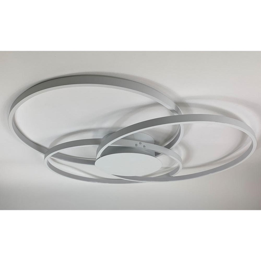 Lindby - LED Prigušiva stropna svjetiljka RILEY LED/40W/230V