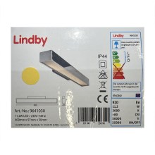 Lindby - LED Rasvjeta za ogledalo u kupaonici KIANA LED/11,2W/230V IP44