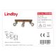 Lindby - LED Reflektorska svjetiljka MITIS 3xGU10/5W/230V