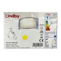 Lindby - LED Zidna svjetiljka GISELA LED/5W/230V