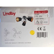 Lindby - Nadgradni luster SINDRI 3xE14/25W/230V