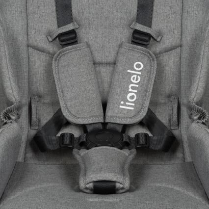 Lionelo - Kombinirana dječja kolica 2 u 1 MERIL Grey Stone