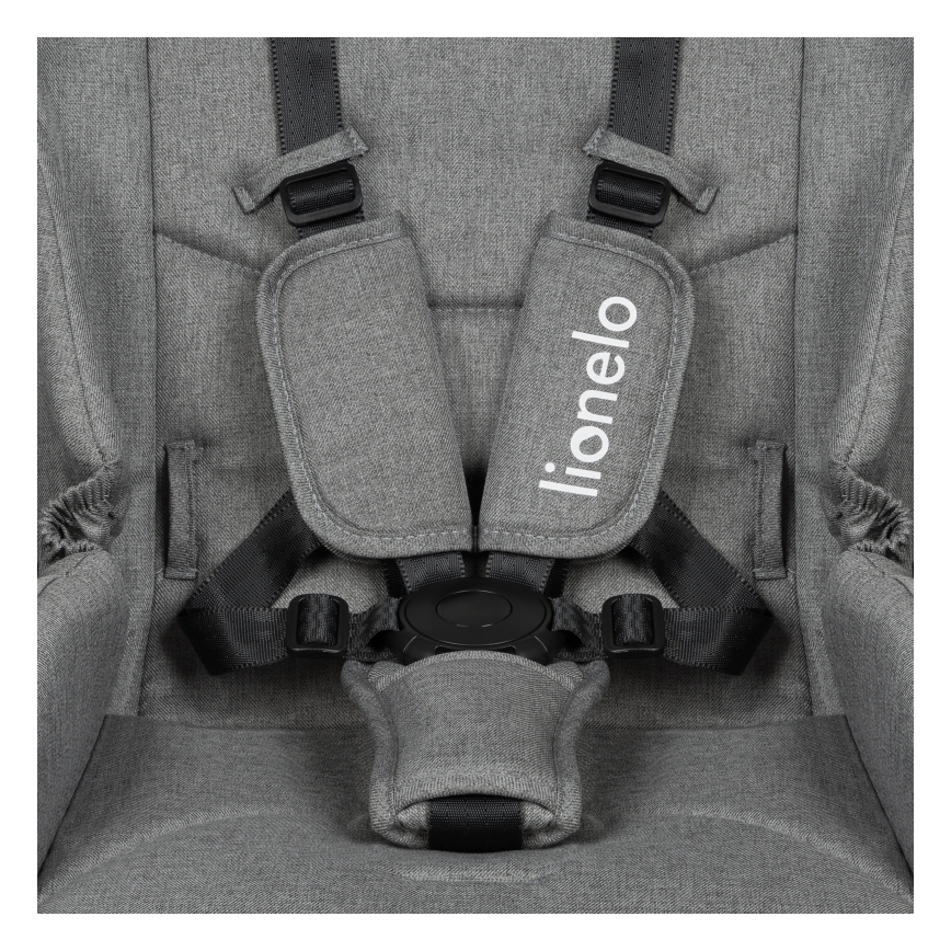 Lionelo - Kombinirana dječja kolica 2 u 1 MERIL Grey Stone