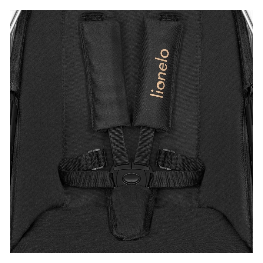 Lionelo - Kombinirana dječja kolica 2u1 AMBER Black Onyx