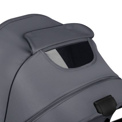 Lionelo - Kombinirana dječja kolica 2u1 AMBER PLUS siva grafit