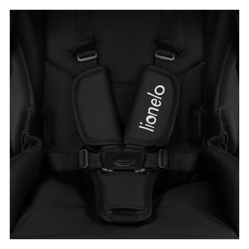 Lionelo - Kombinirana dječja kolica 2u1 MERIL Black Onyx