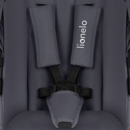 Lionelo - Kombinirana dječja kolica 3u1 AMBER PLUS Siva grafit