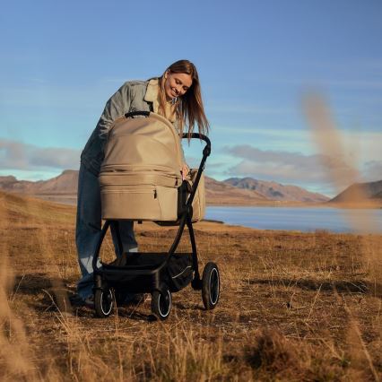 Lionelo - Kombinirana kolica 3 u 1 MERIL Grey Stone