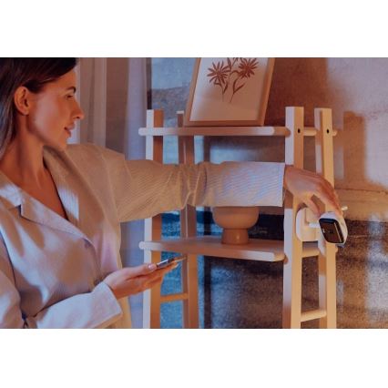 Lionelo - Punjivi monitor za bebe BABYLINE GO 5V 3350 mAh