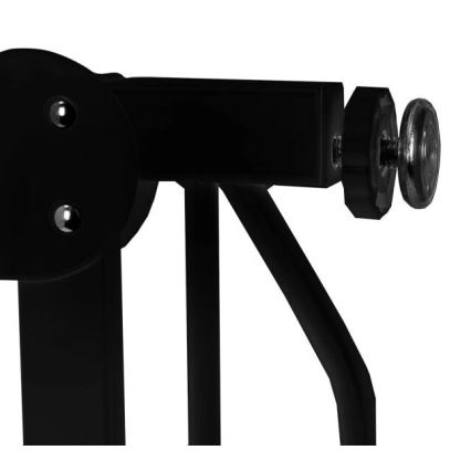 Lionelo - Sigurnosna vrata TRUUS SLIM crna