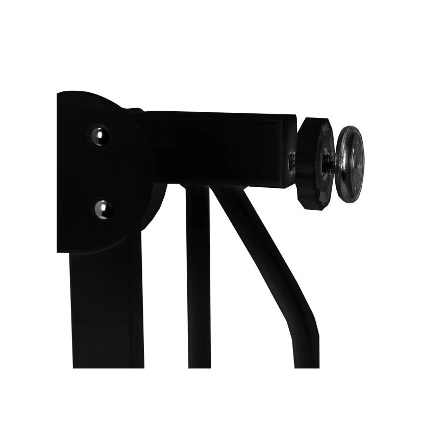 Lionelo - Sigurnosna vrata TRUUS SLIM crna