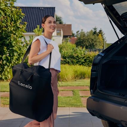 Lionelo - Sportska kolica JULIE ONE Crna/Zlatna