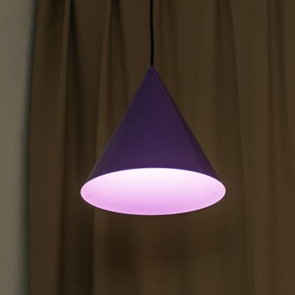 Ljubičasti luster na sajli ETNA 1xE27/15W/230V promjer 25 cm