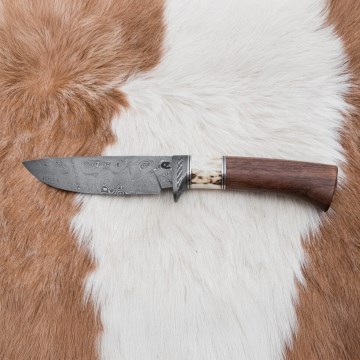 Lovački damask nož 11,8 cm orah/rog jelena