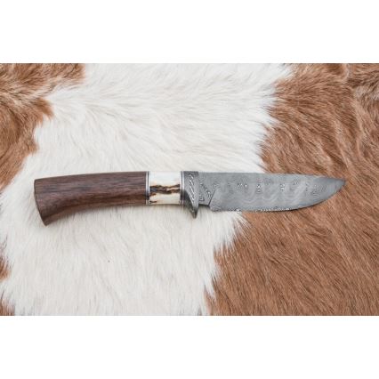 Lovački damask nož 11,8 cm orah/rog jelena