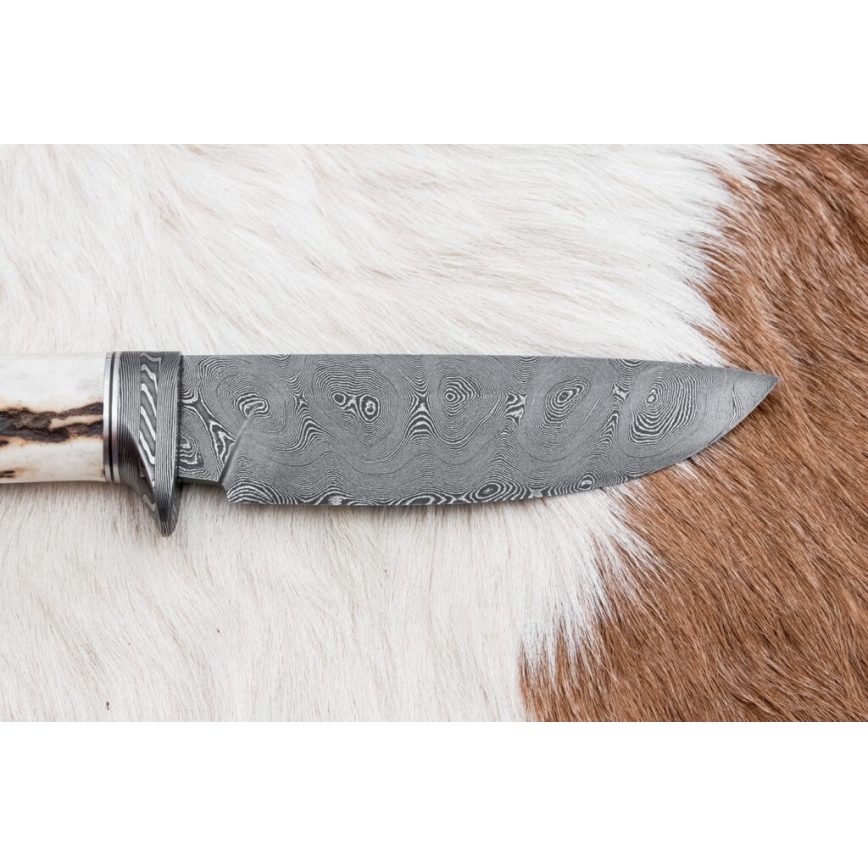 Lovački damask nož 11,8 cm orah/rog jelena