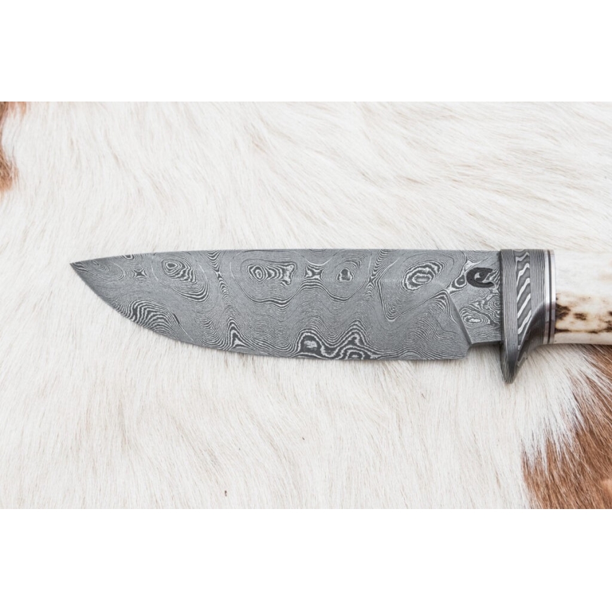 Lovački damask nož 11,8 cm orah/rog jelena