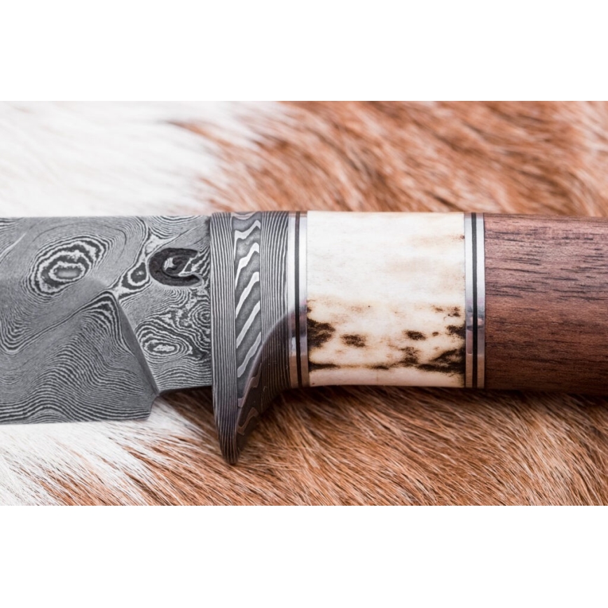Lovački damask nož 11,8 cm orah/rog jelena