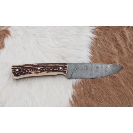 Lovački damask nož 11 cm rog jelena