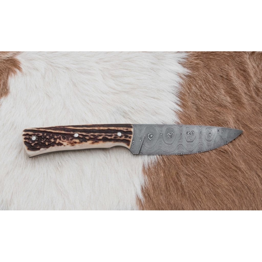 Lovački damask nož 11 cm rog jelena