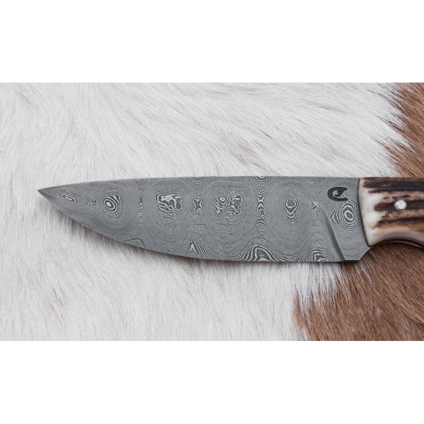 Lovački damask nož 11 cm rog jelena