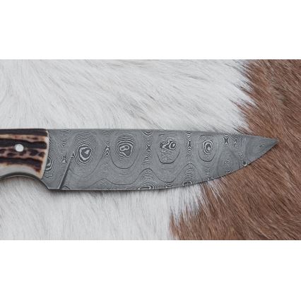 Lovački damask nož 11 cm rog jelena
