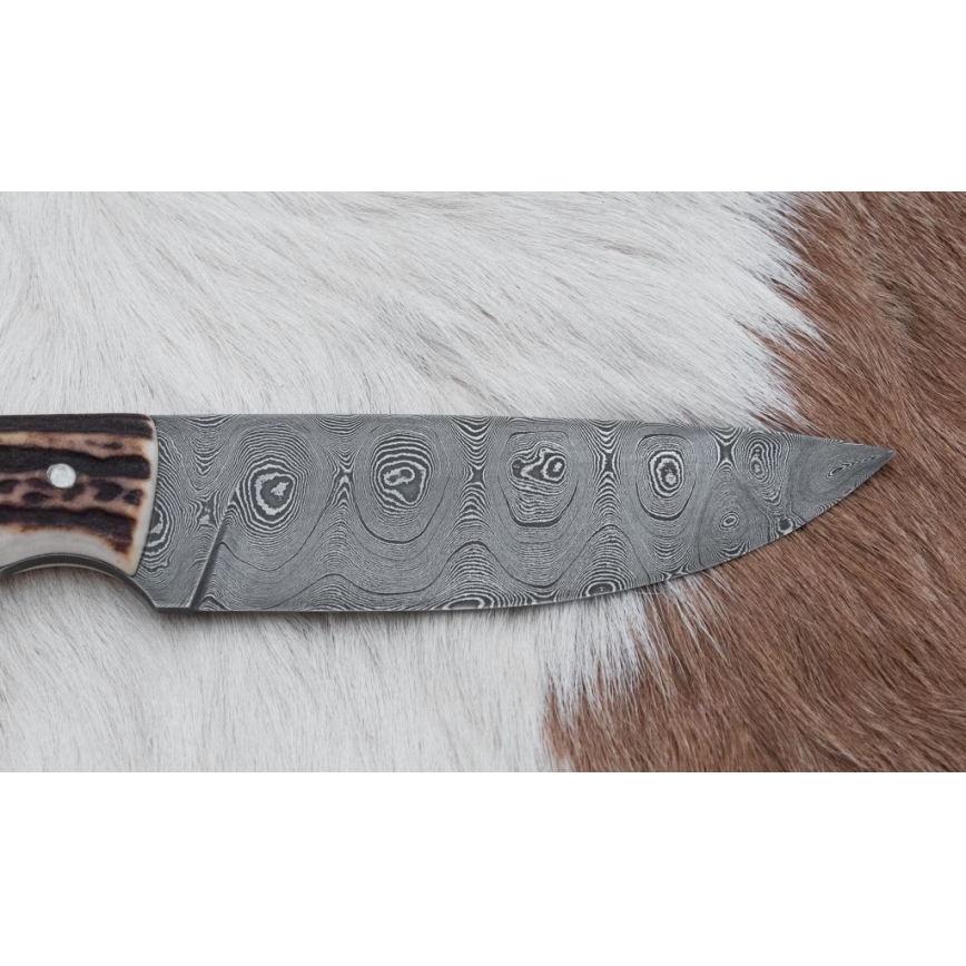 Lovački damask nož 11 cm rog jelena