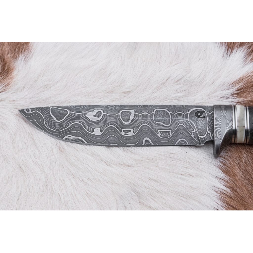 Lovački damask nož 13,8 cm breza/devina kost