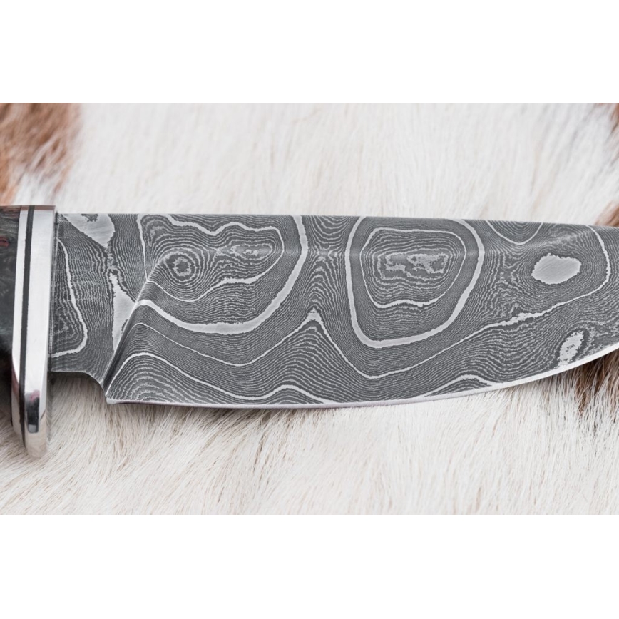Lovački damask nož 9,7 cm orah/javor