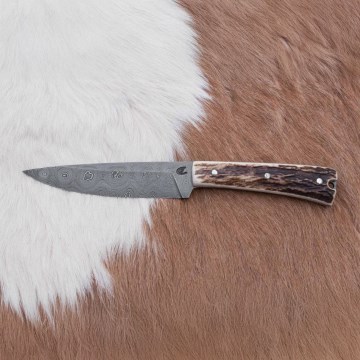 Lovački fiksni nož 12 cm rog jelena
