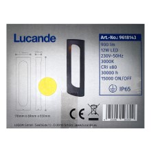 Lucande - LED Vanjska lampa FENTI LED/12W/230V IP65