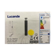 Lucande - LED Vanjska lampa JAXON LED/15W/230V IP54